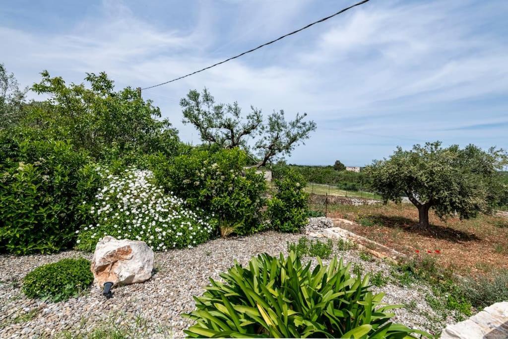 Villa Trullo Oasi Santo Stefano - Private Pool Castellana Grotte Exterior foto